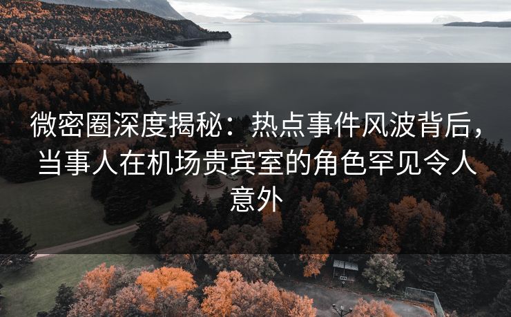 微密圈深度揭秘：热点事件风波背后，当事人在机场贵宾室的角色罕见令人意外