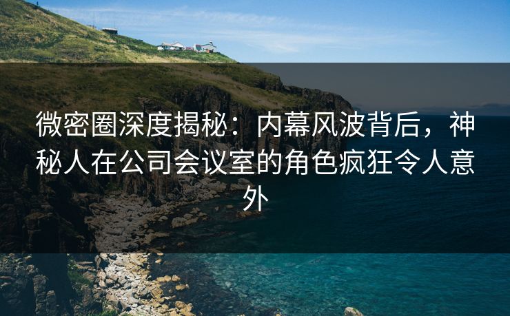 微密圈深度揭秘：内幕风波背后，神秘人在公司会议室的角色疯狂令人意外