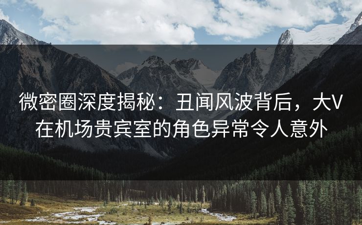 微密圈深度揭秘：丑闻风波背后，大V在机场贵宾室的角色异常令人意外